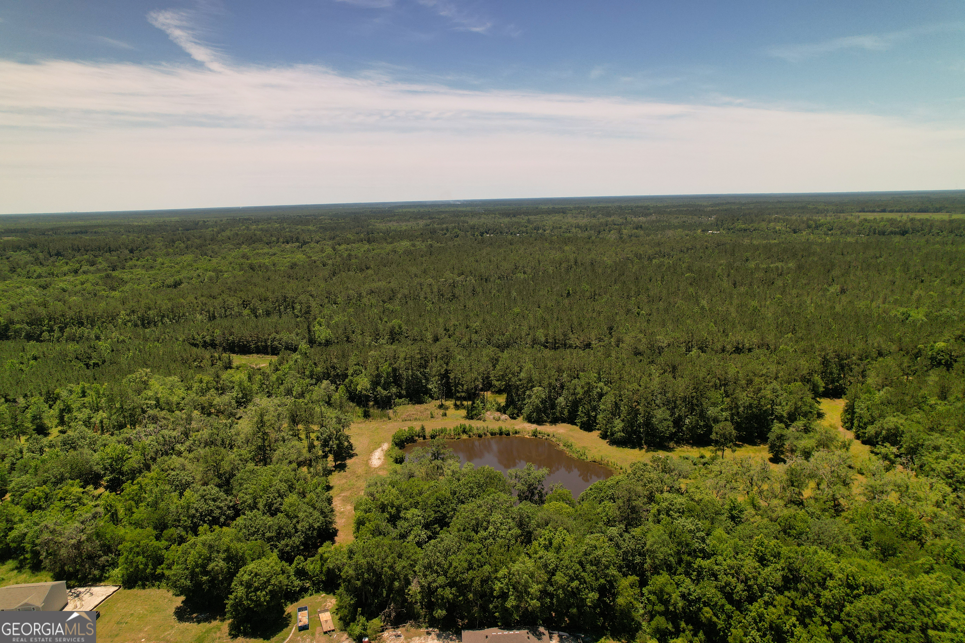 0 Acres Kingsland Property Photo 8