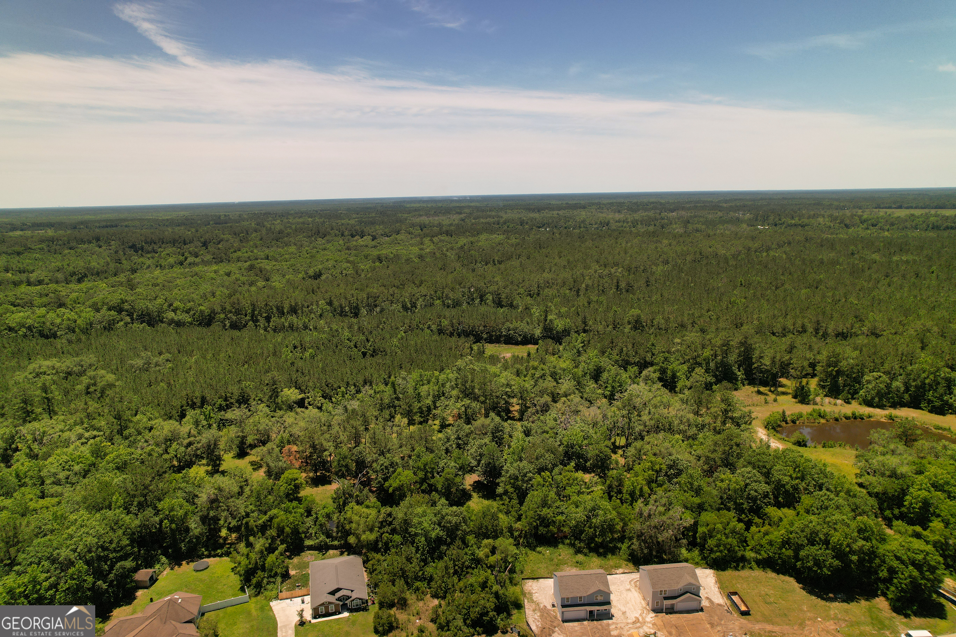 0 Acres Kingsland Property Photo 9
