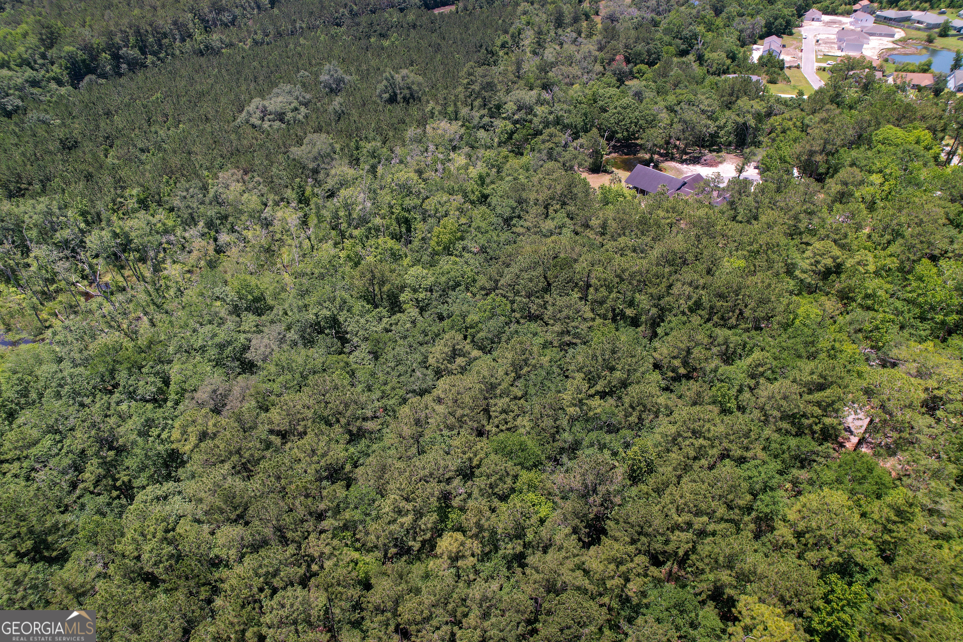 0 Acres Kingsland Property Photo 11
