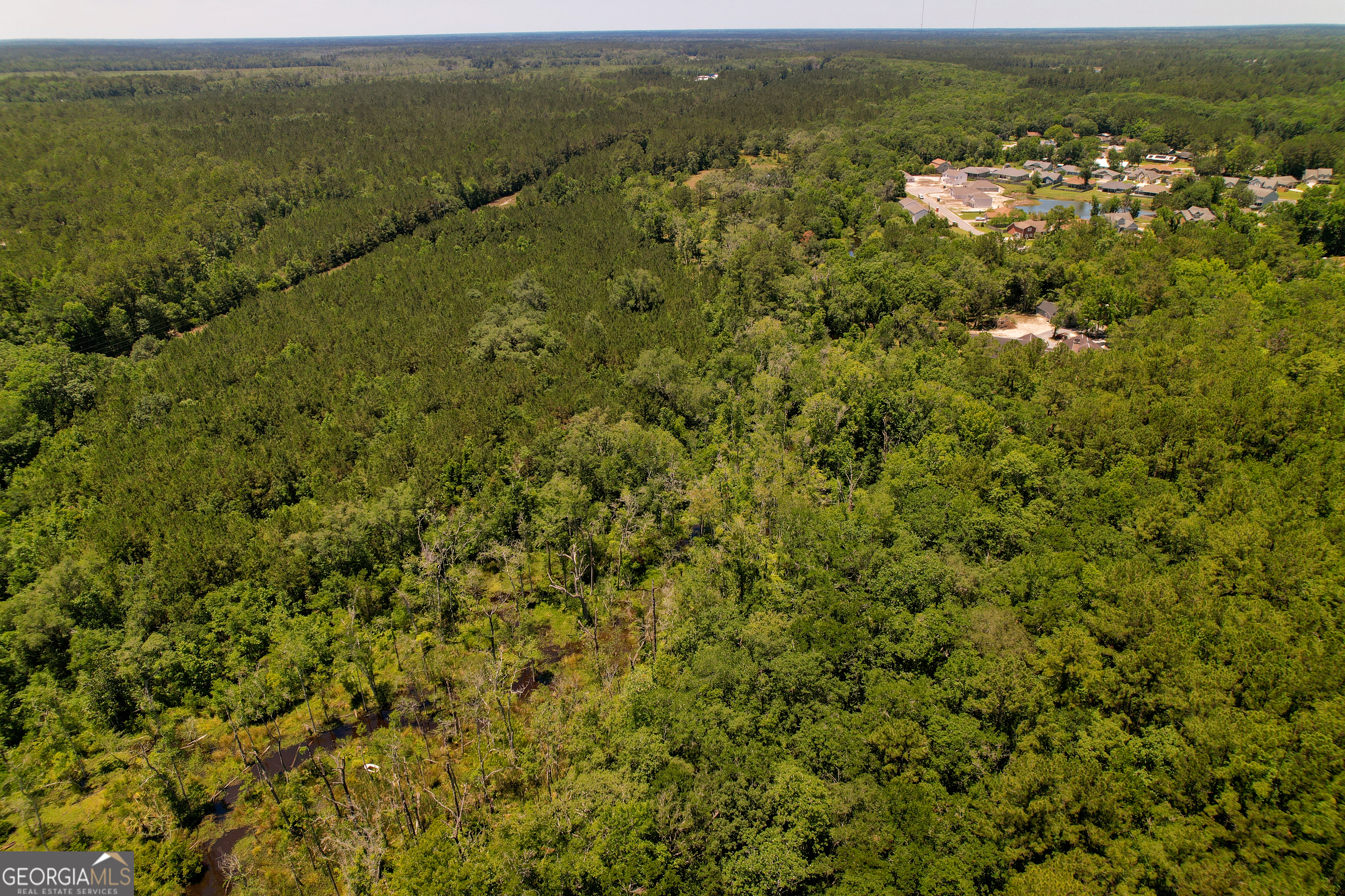 0 Acres Kingsland Property Photo 12