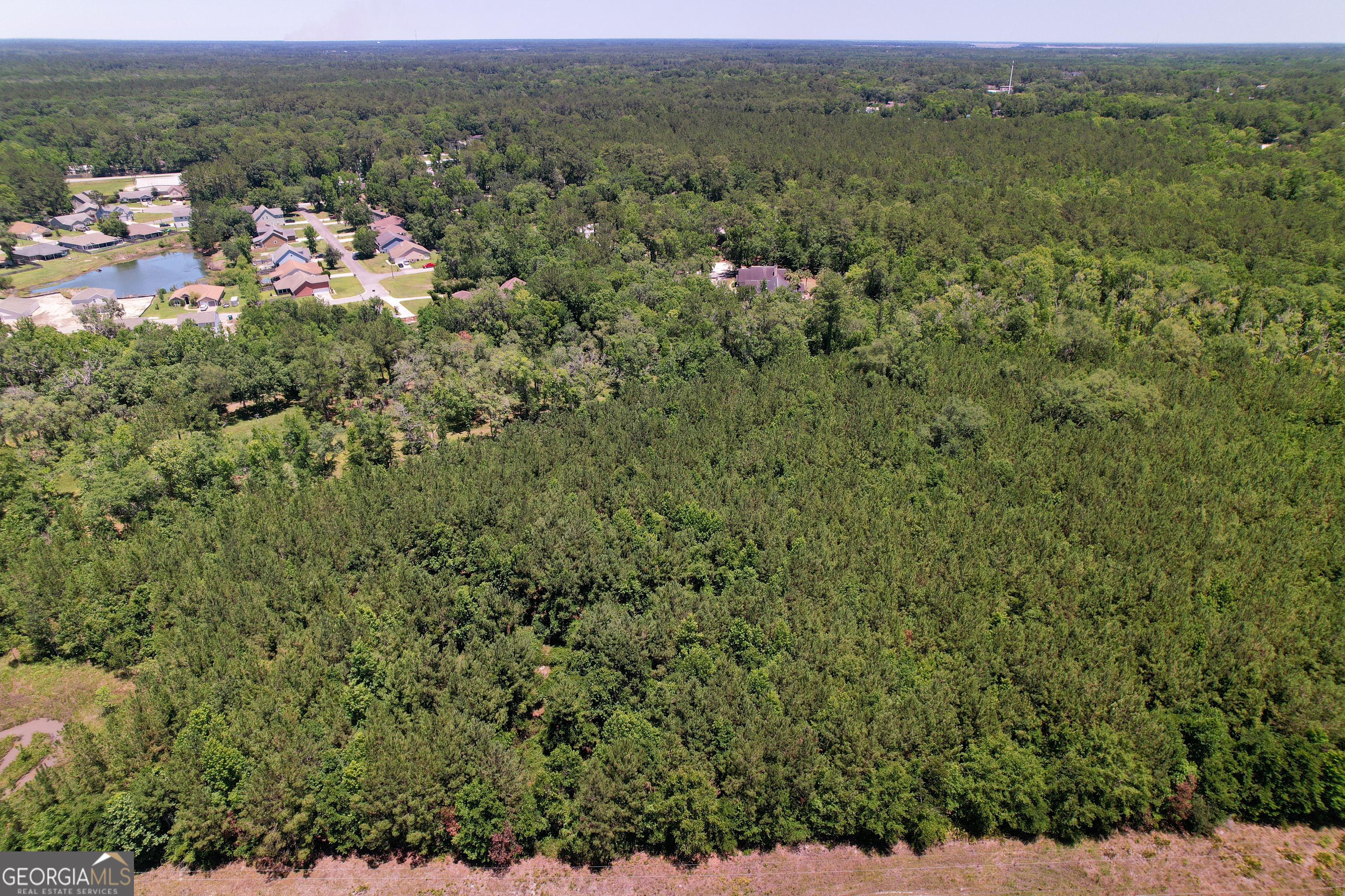0 Acres Kingsland Property Photo 14