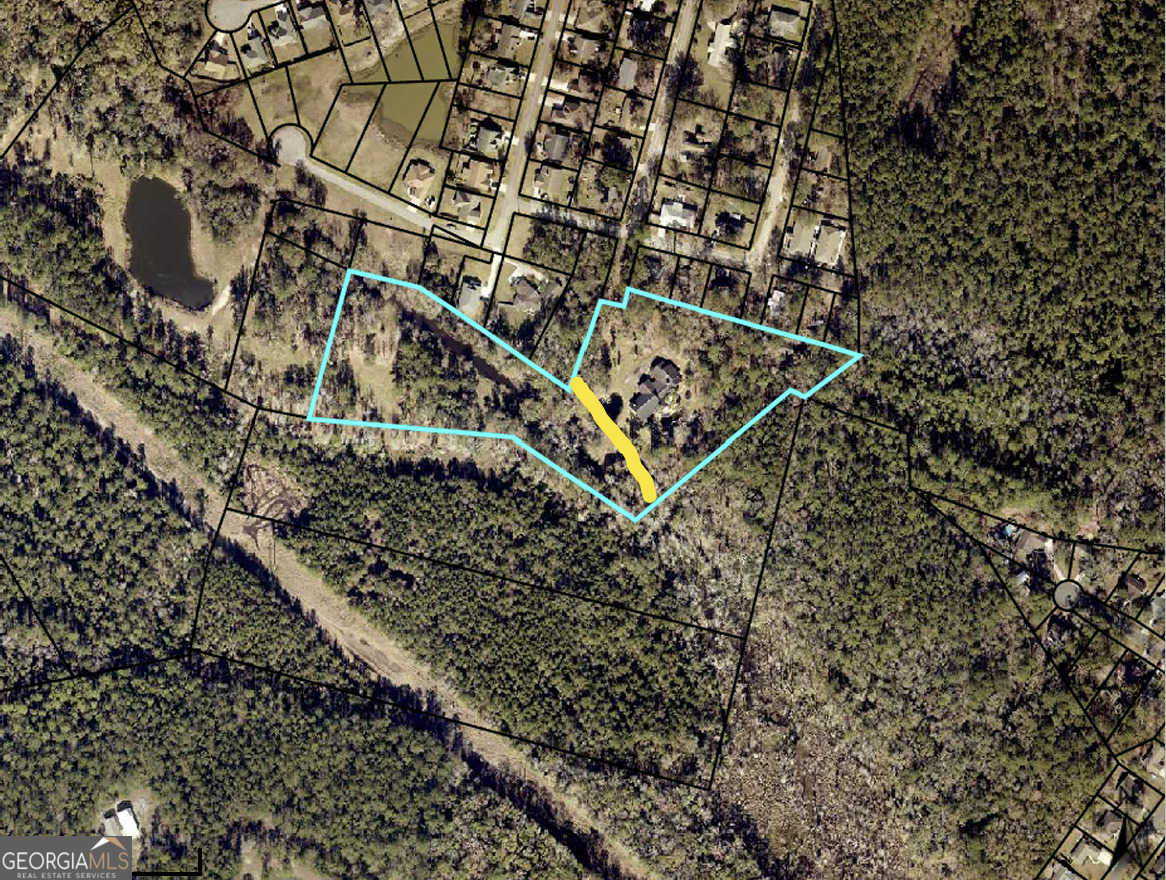 0 Acres Kingsland Property Photo 24