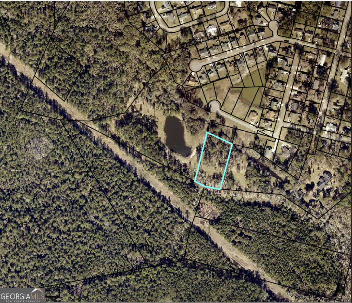0 Acres Kingsland Property Photo 25