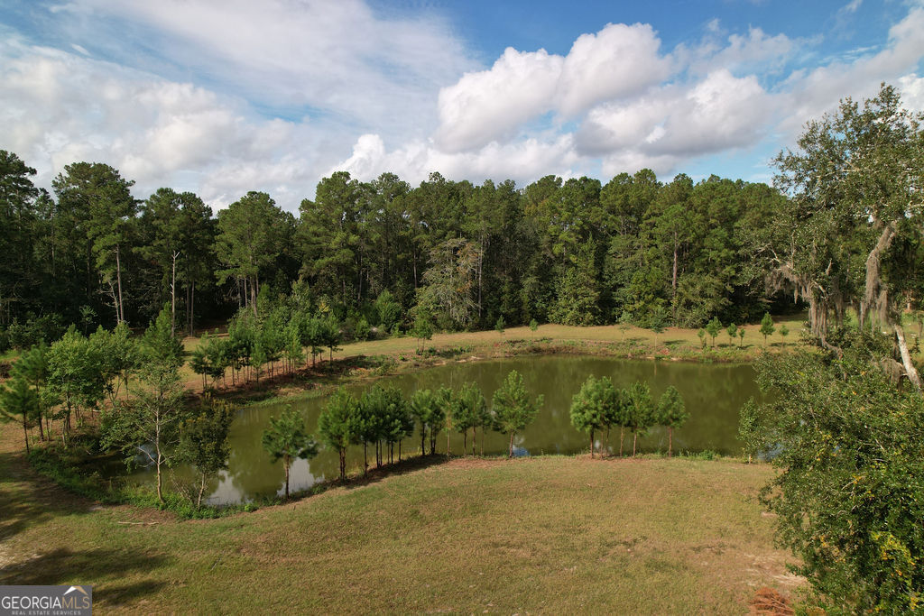 0 Acres Kingsland Property Photo 29