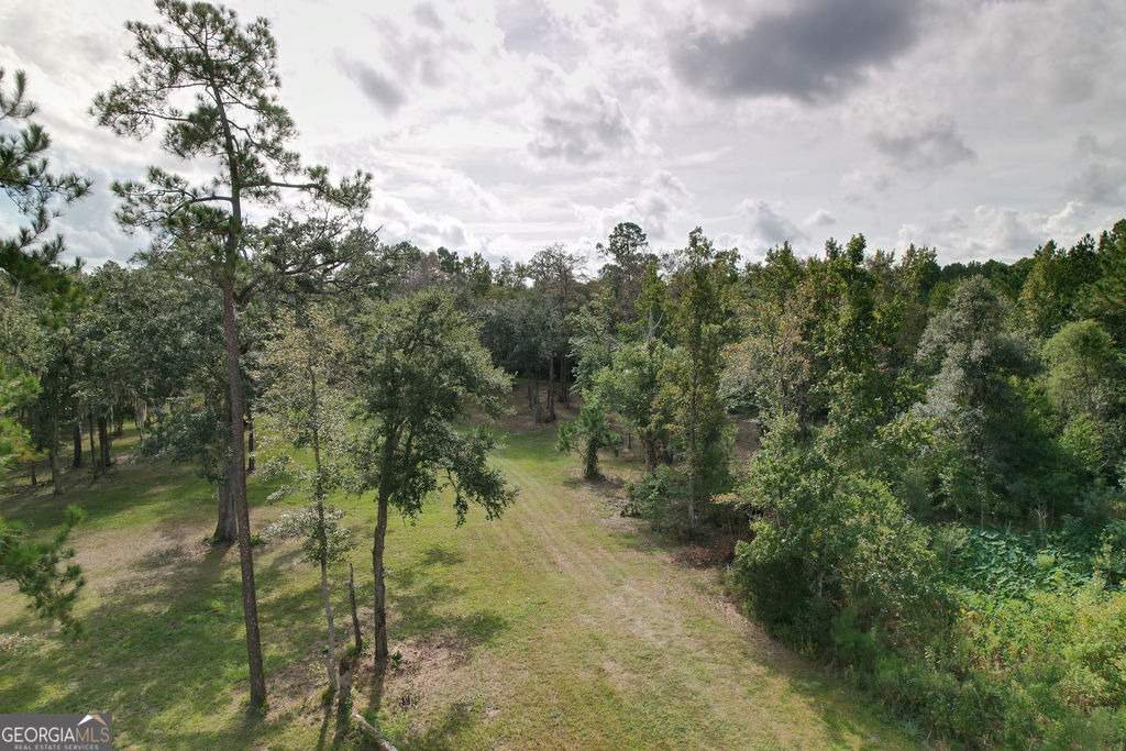 0 Acres Kingsland Property Photo 30
