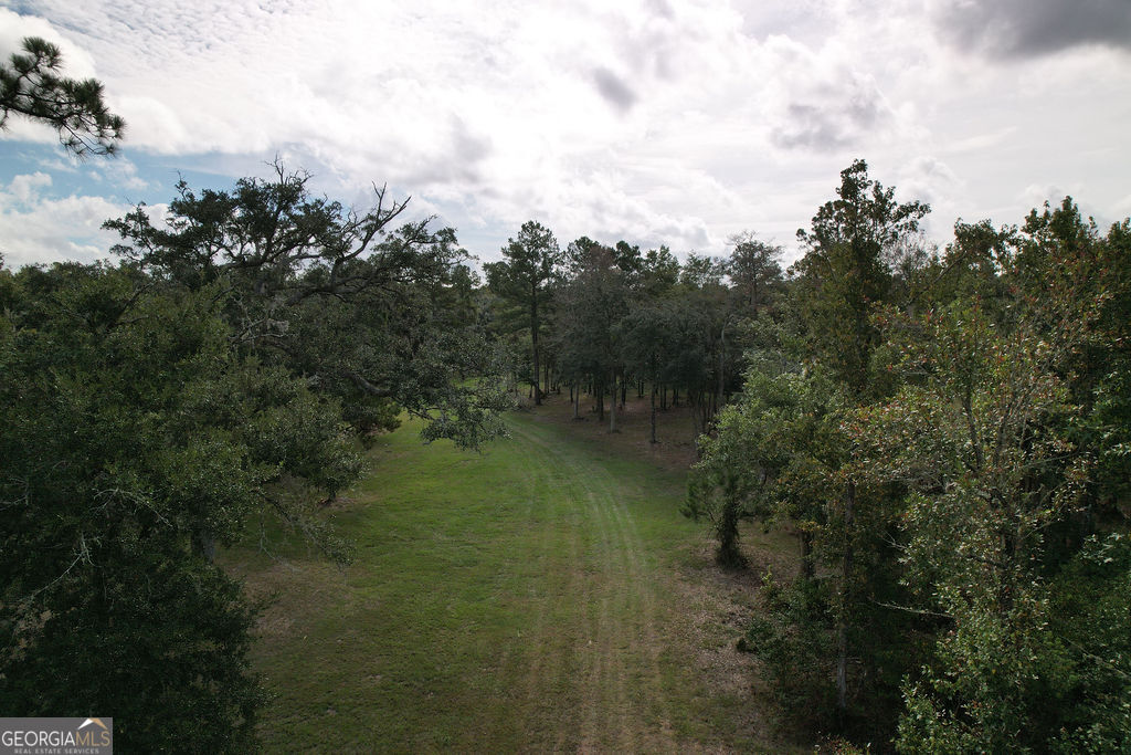 0 Acres Kingsland Property Photo 31