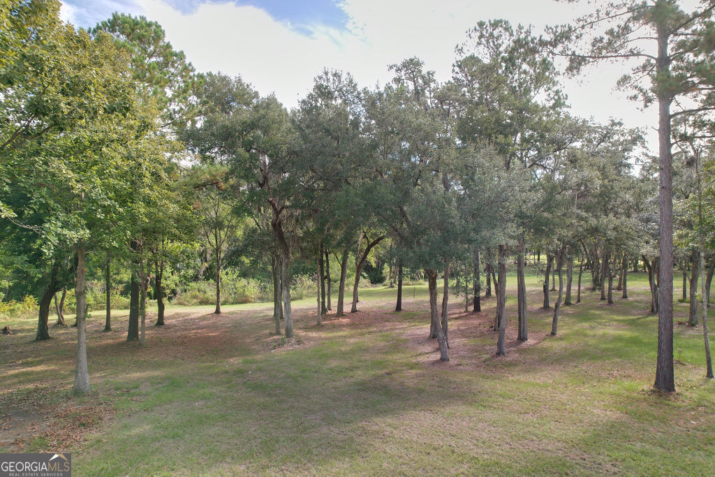 0 Acres Kingsland Property Photo 33