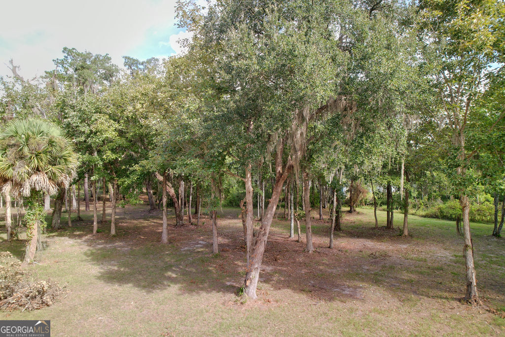 0 Acres Kingsland Property Photo 34