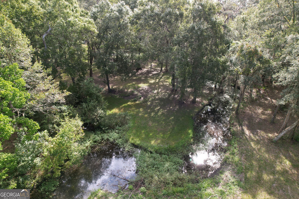 0 Acres Kingsland Property Photo 36