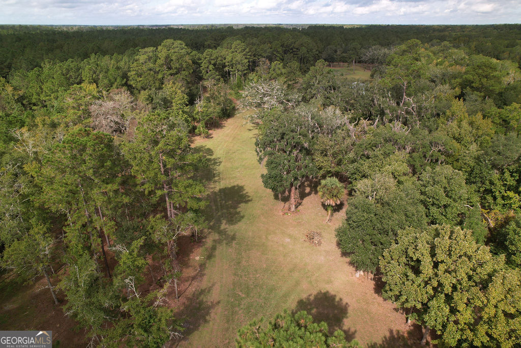 0 Acres Kingsland Property Photo 37