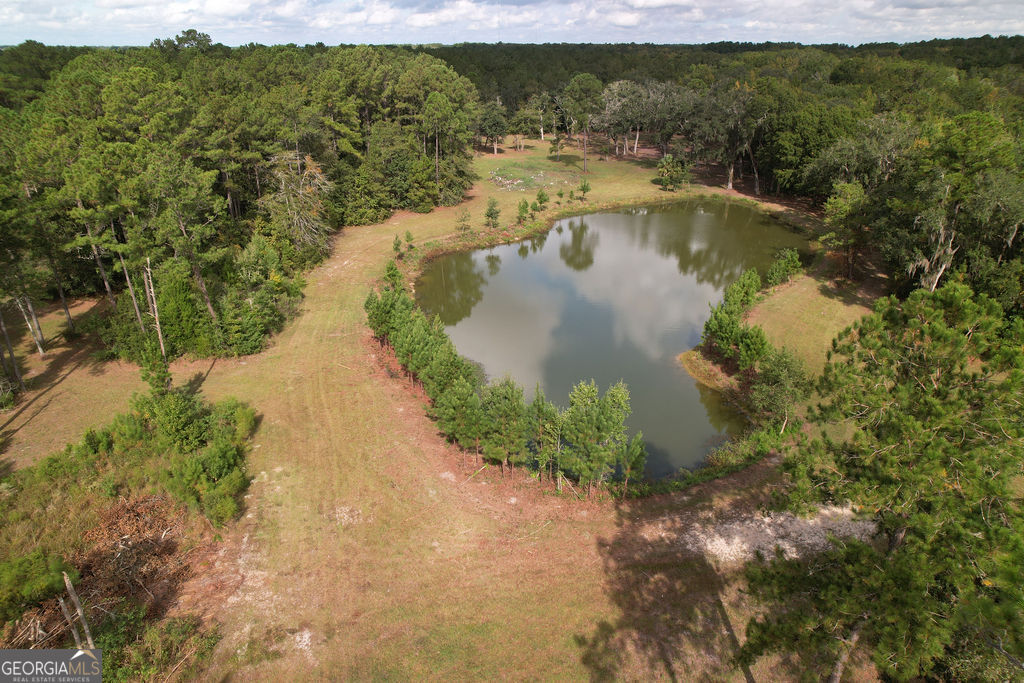 0 Acres Kingsland Property Photo 38