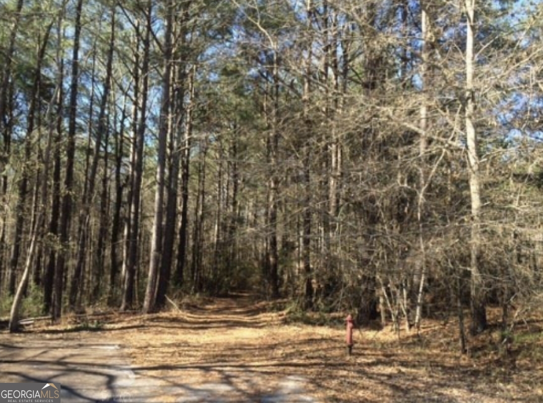 0 Virgil Lane Property Photo