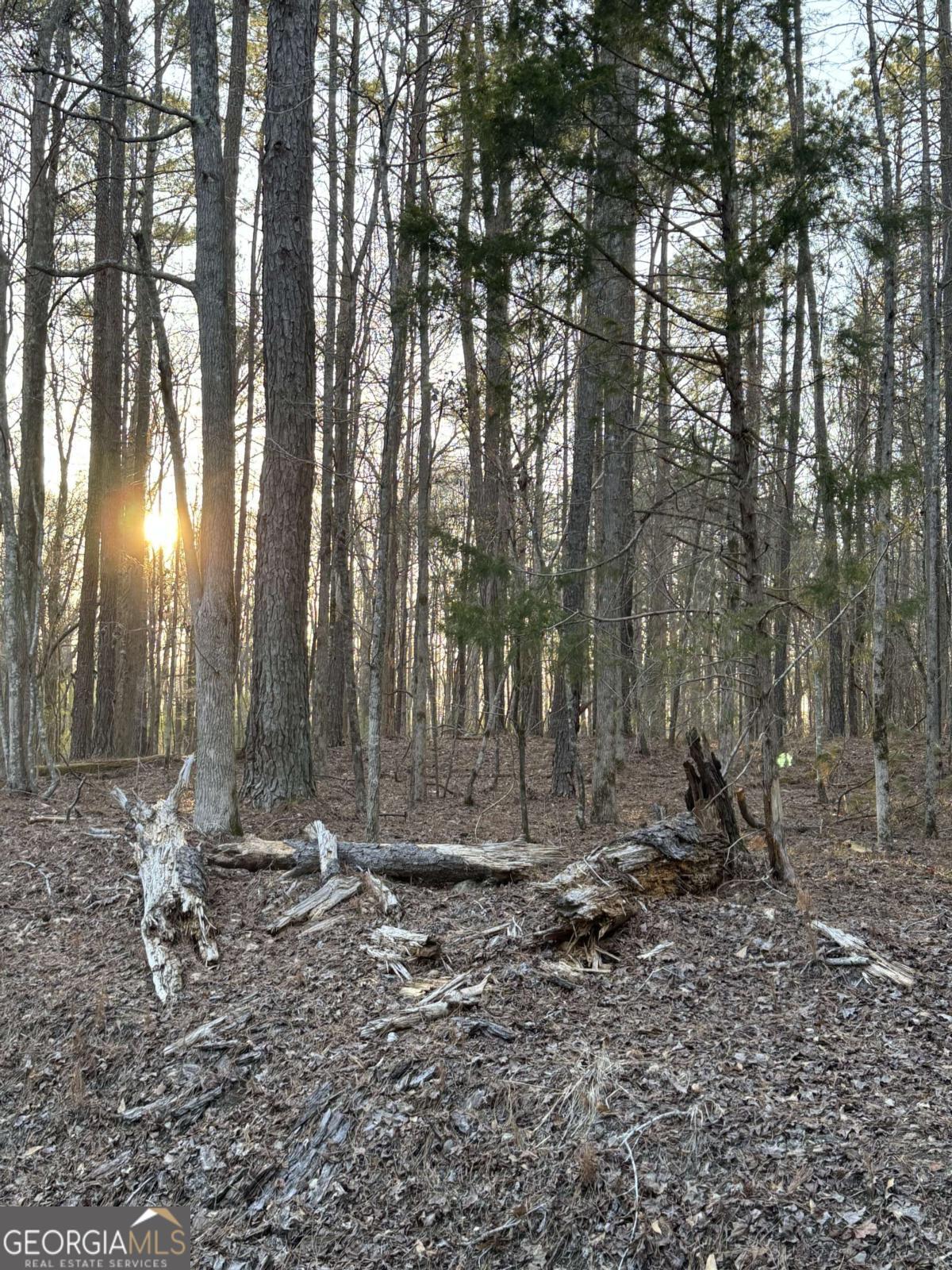 0 Bill Hart Road Property Photo