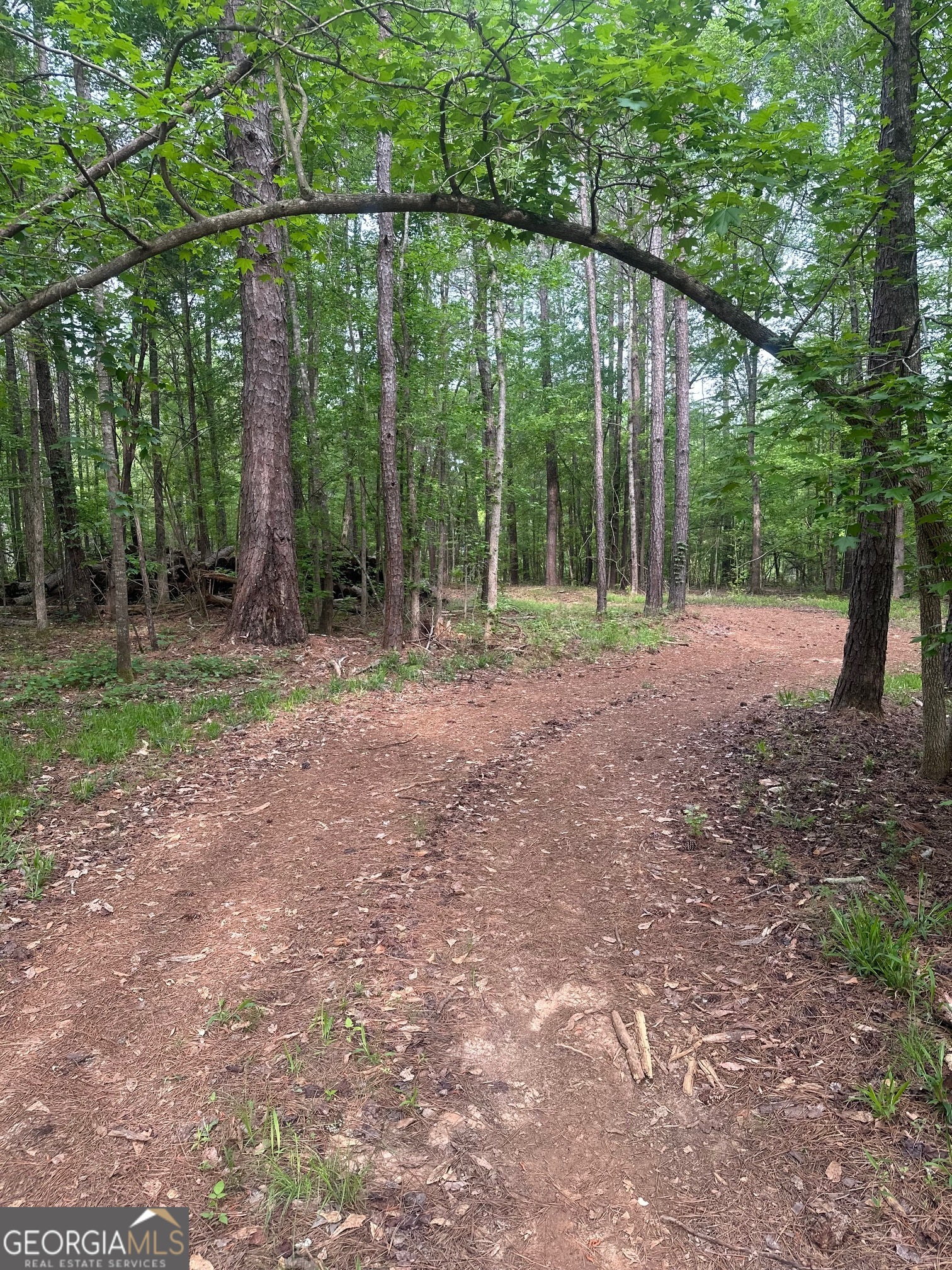 Lot 24 Hamlin Road Property Photo