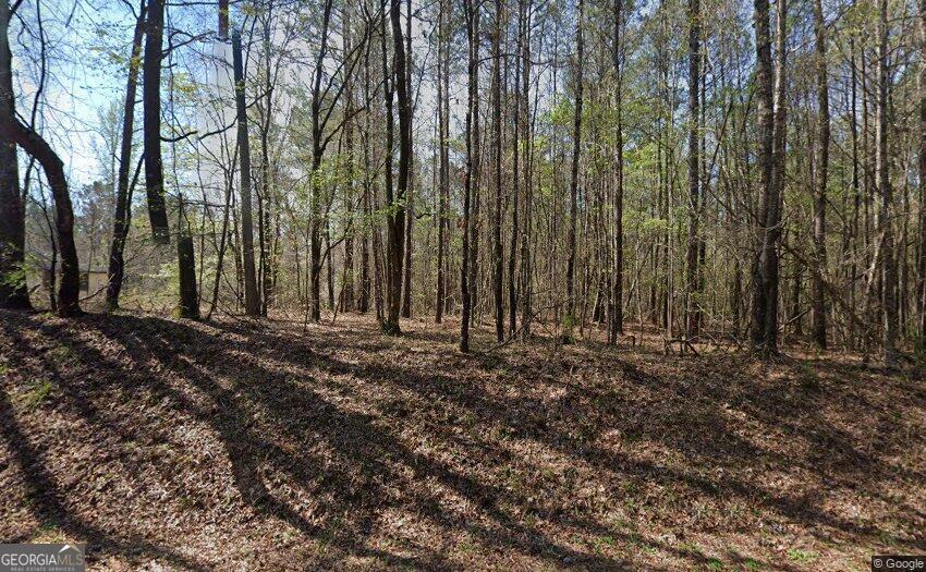 551 Damascus Church Road Property Photo