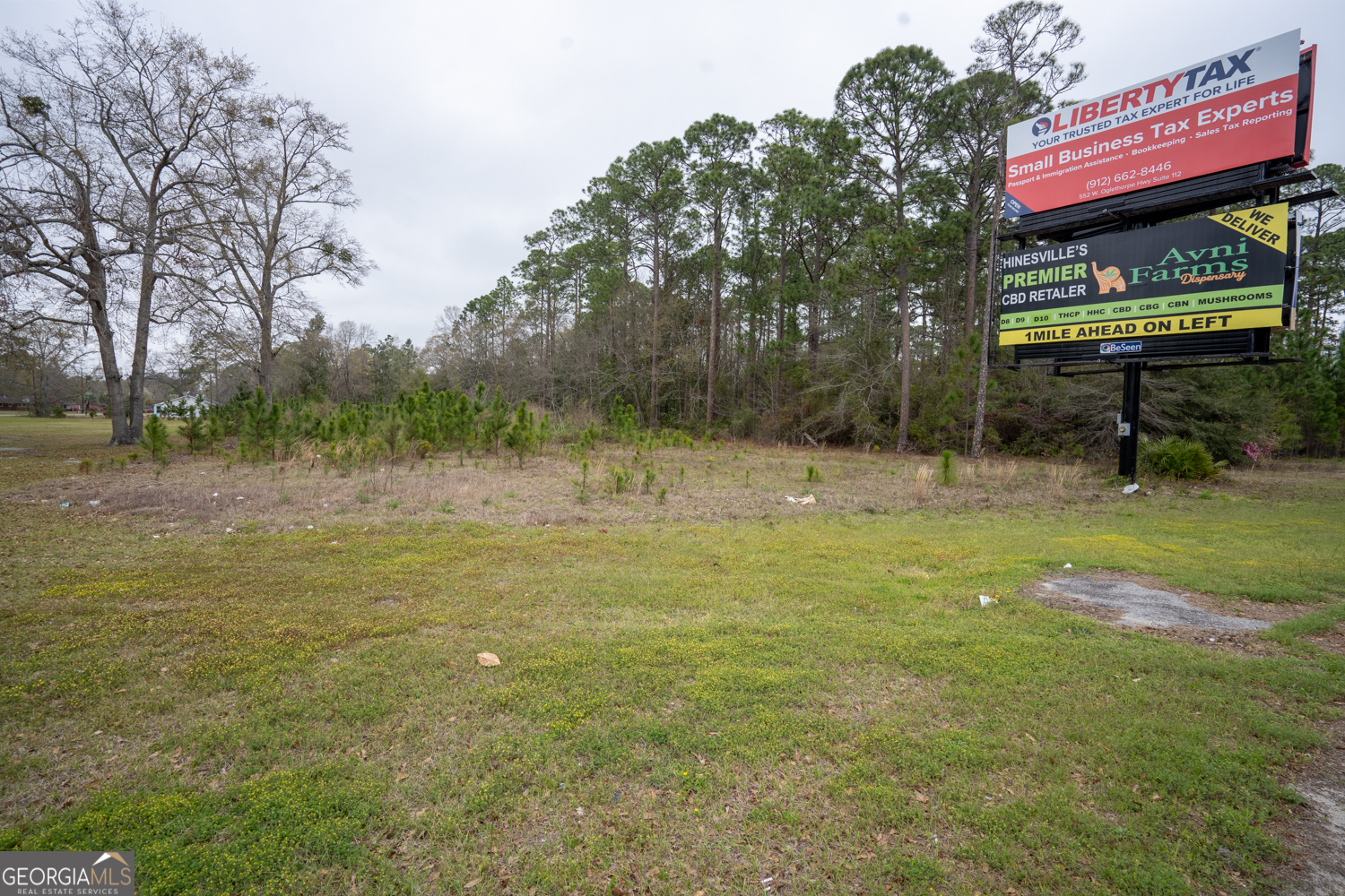 1.09 Ac Elma G Miles Parkway Property Photo 3