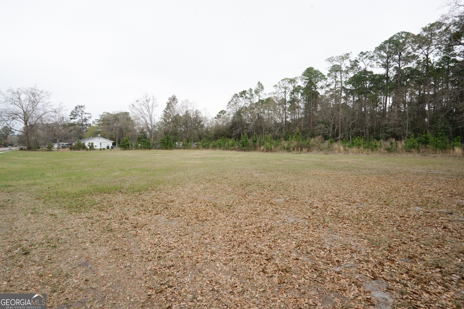 1.09 Ac Elma G Miles Parkway Property Photo 7