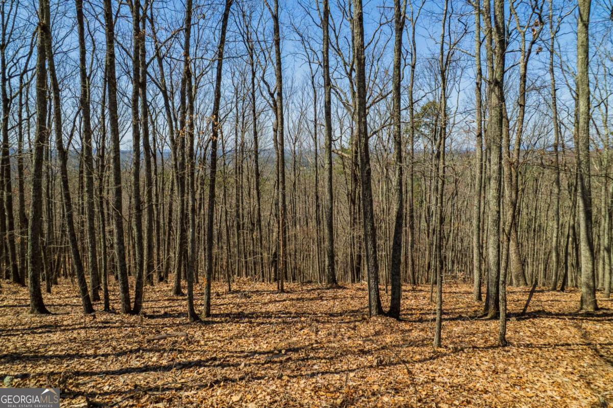 Lot 35 Heatherwood Way Property Photo 1