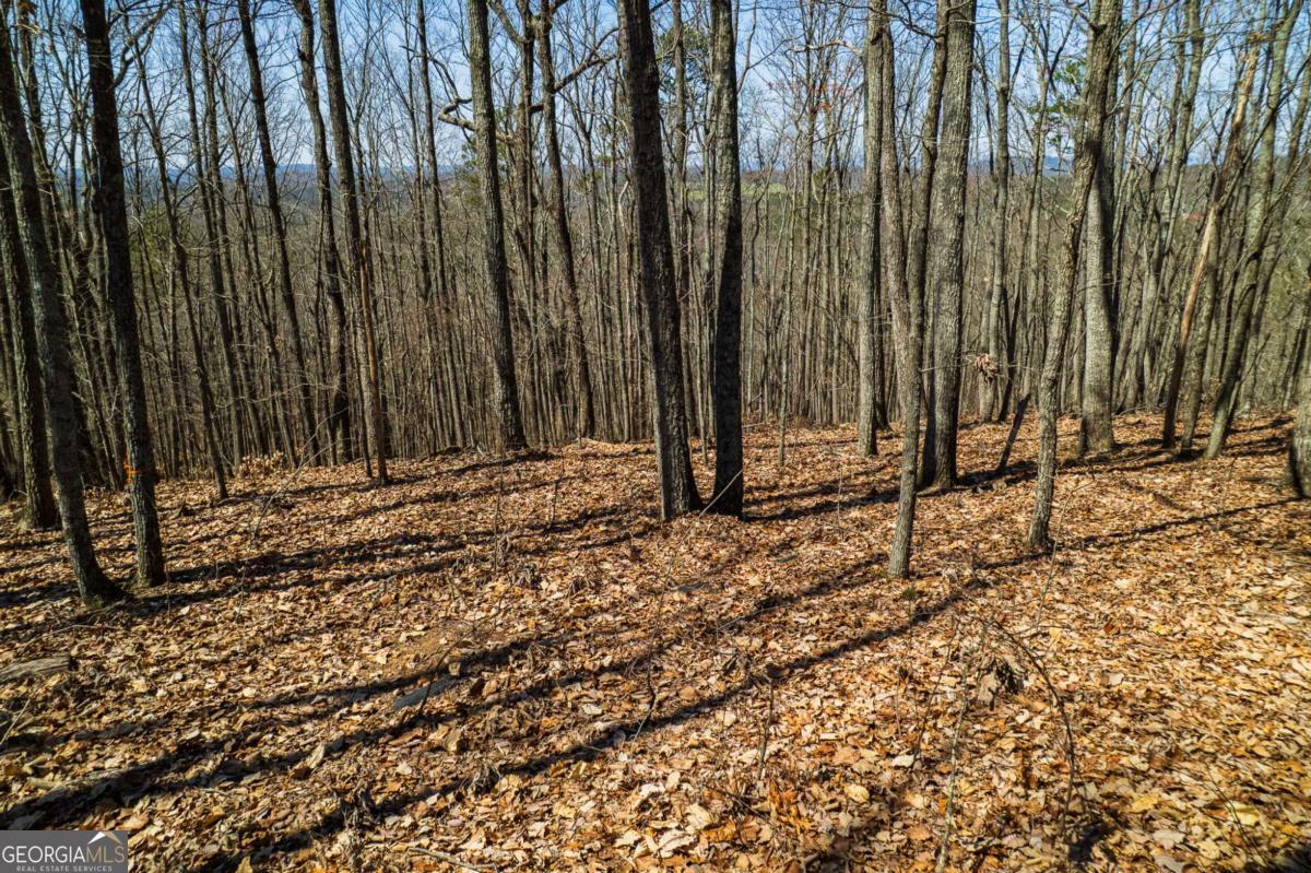 Lot 35 Heatherwood Way Property Photo 2