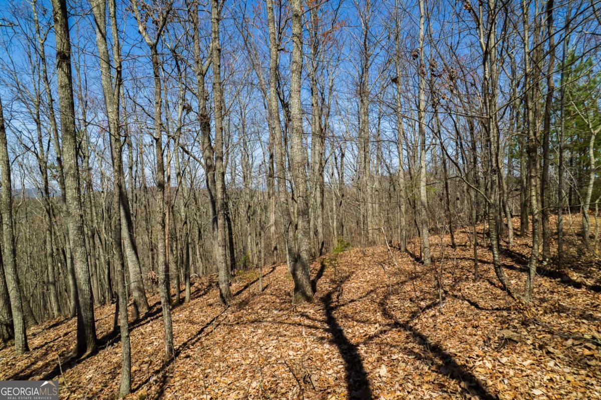 Lot 35 Heatherwood Way Property Photo 11