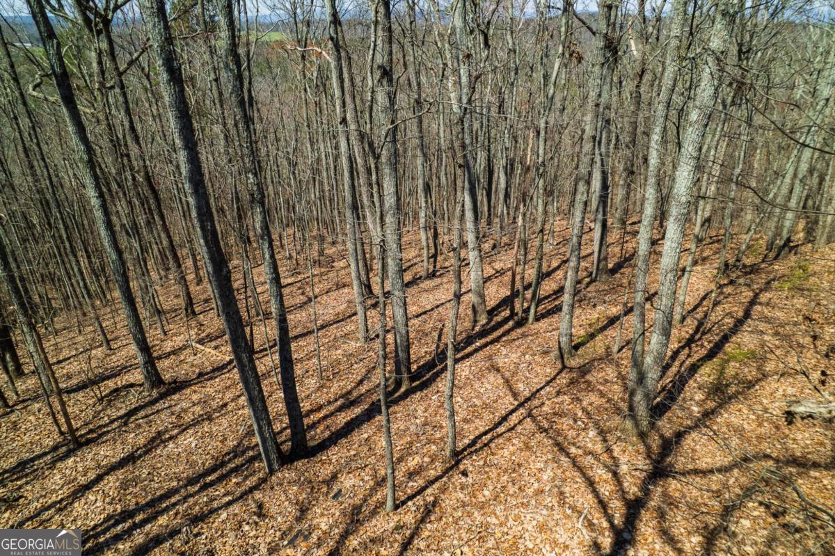 Lot 35 Heatherwood Way Property Photo 12