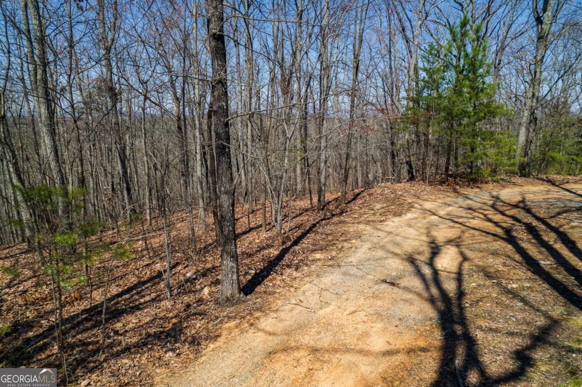 Lot 35 Heatherwood Way Property Photo 13
