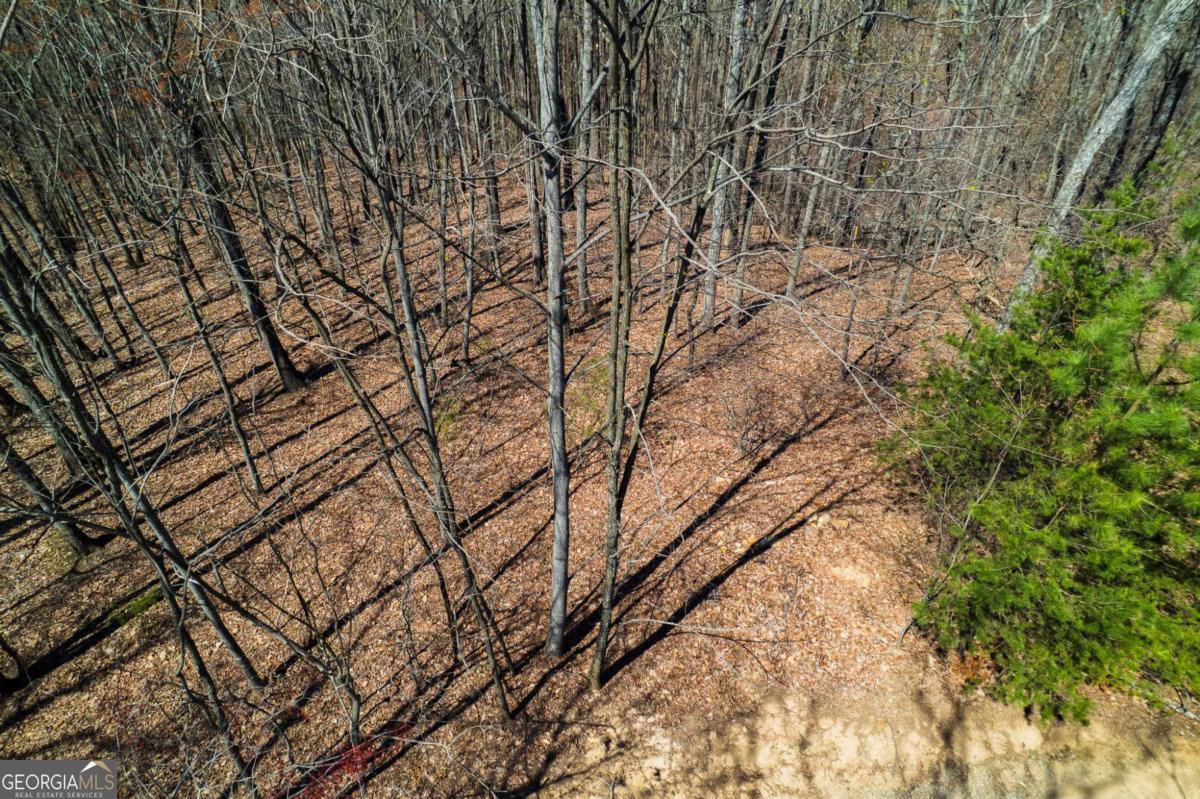 Lot 35 Heatherwood Way Property Photo 14