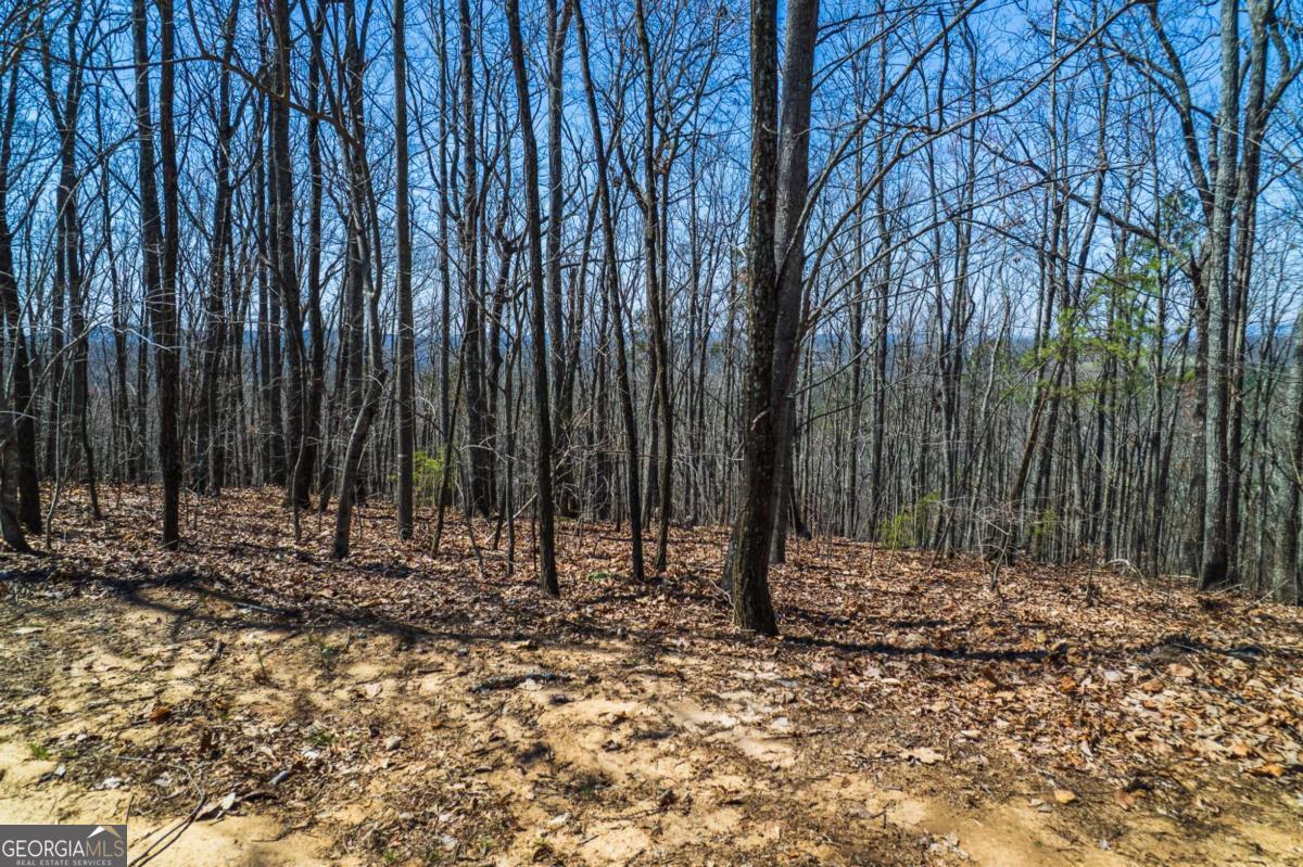 Lot 35 Heatherwood Way Property Photo 15