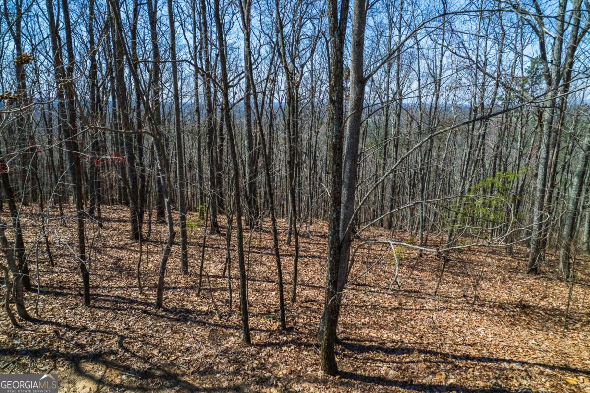 Lot 35 Heatherwood Way Property Photo 16