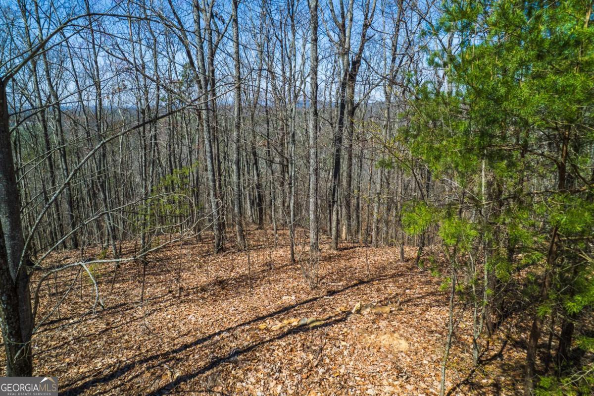 Lot 35 Heatherwood Way Property Photo 17