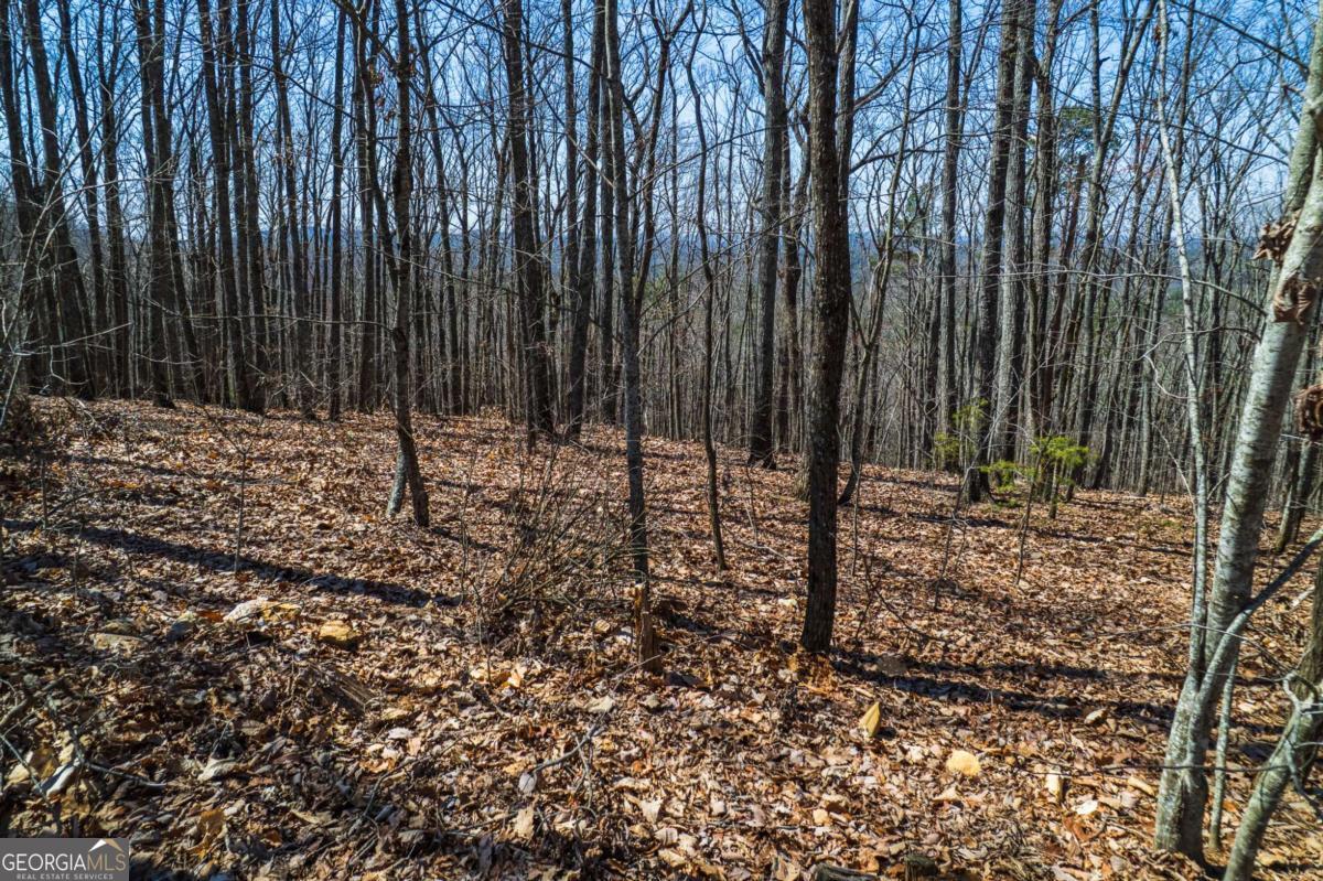 Lot 35 Heatherwood Way Property Photo 18