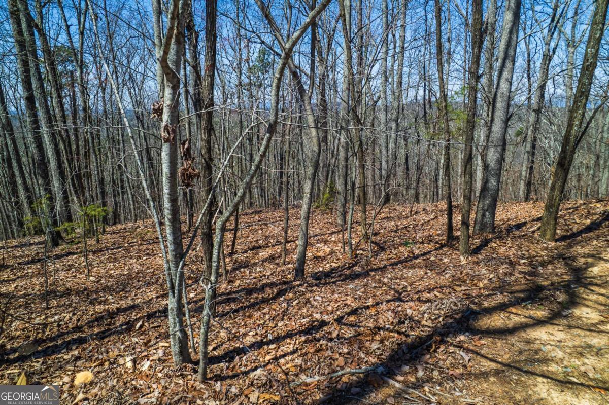 Lot 35 Heatherwood Way Property Photo 19