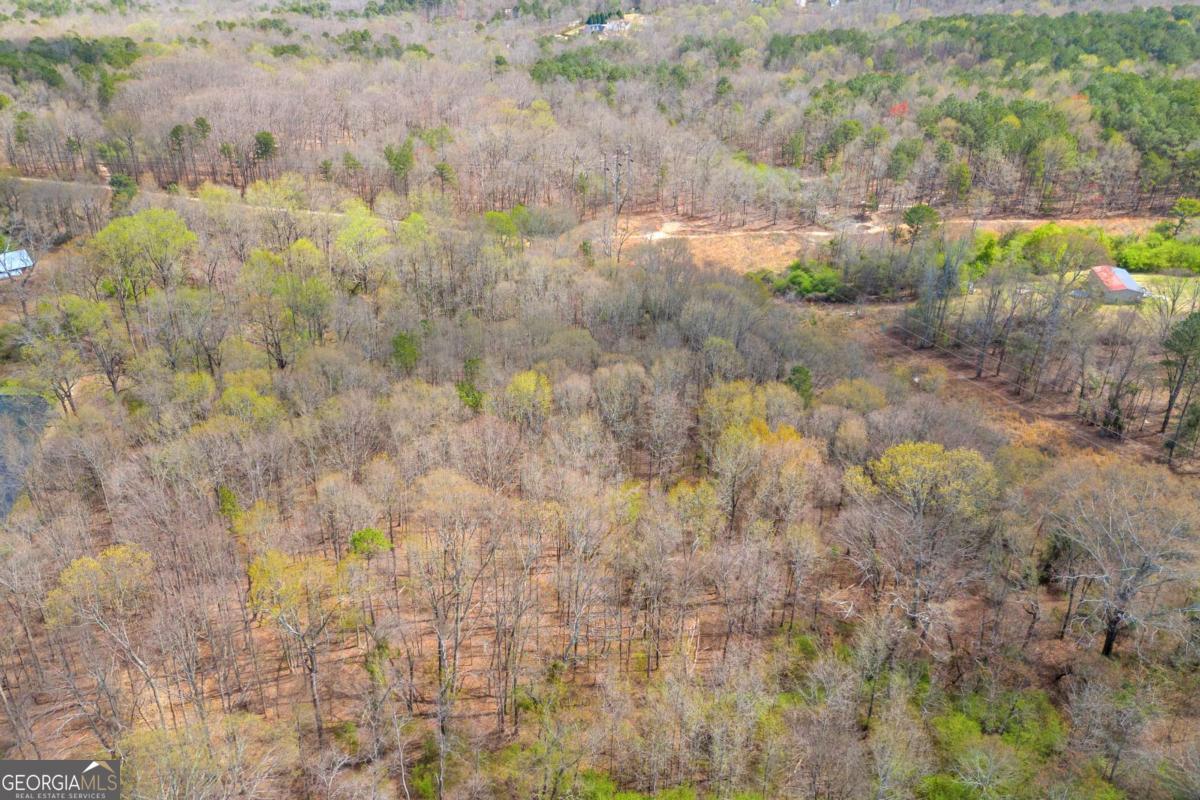 7174 Highway 53 Property Photo 10