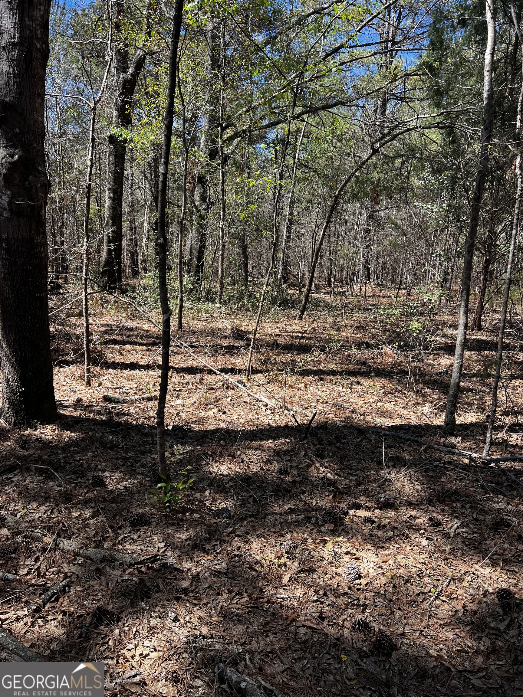 2000 Buckeye Road Property Photo
