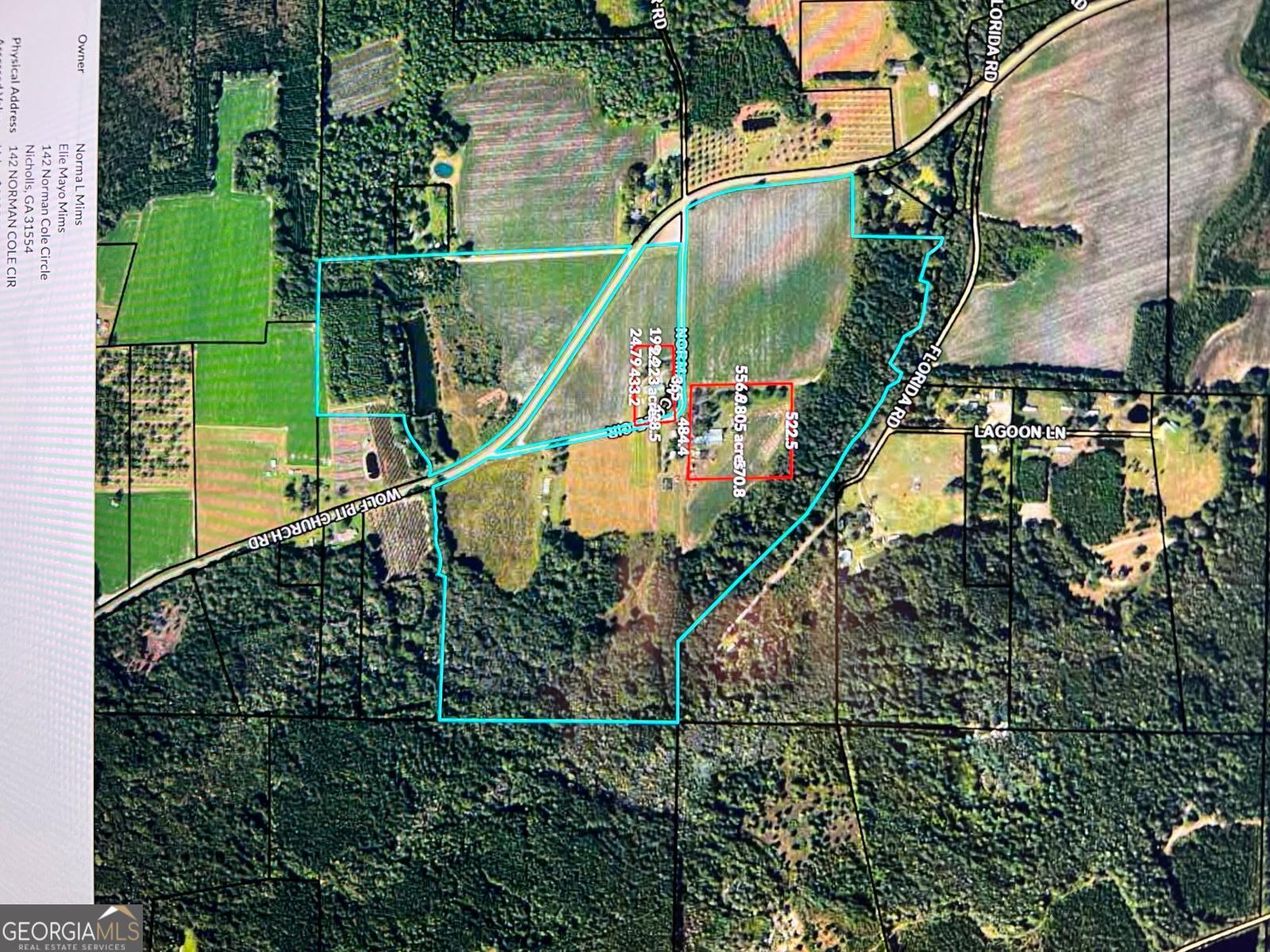 Bacon County Real Estate Listings Main Image