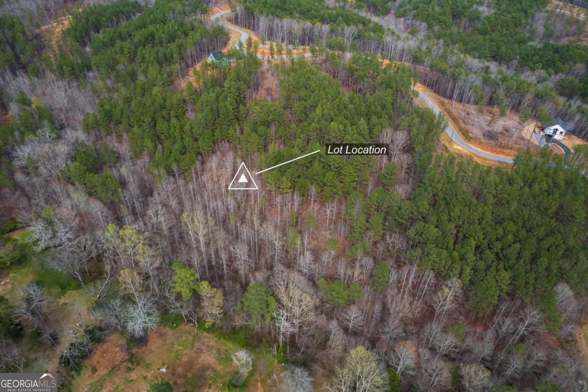 Lot 112 Blalock Mountain Road Property Photo 4
