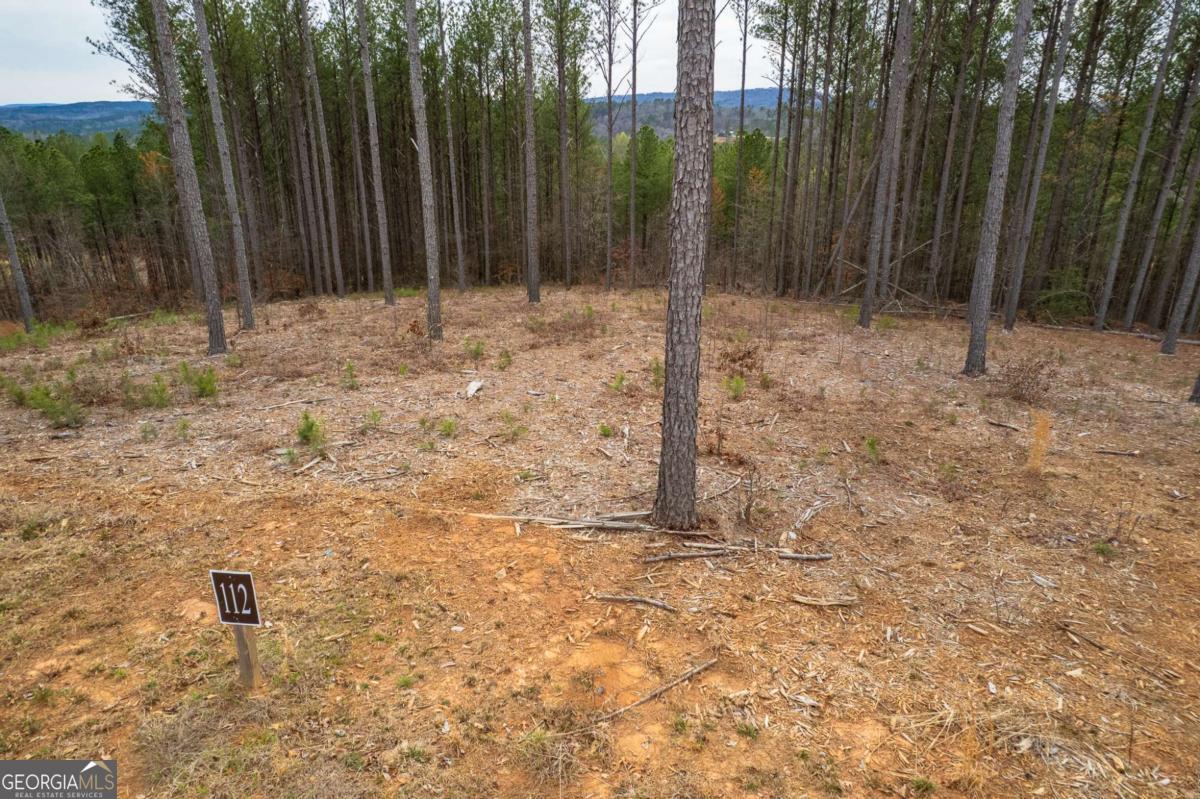 Lot 112 Blalock Mountain Road Property Photo 5
