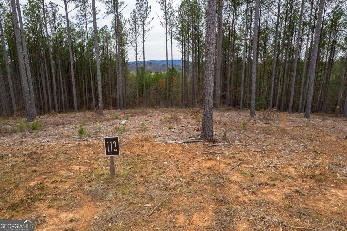 Lot 112 Blalock Mountain Road Property Photo 6