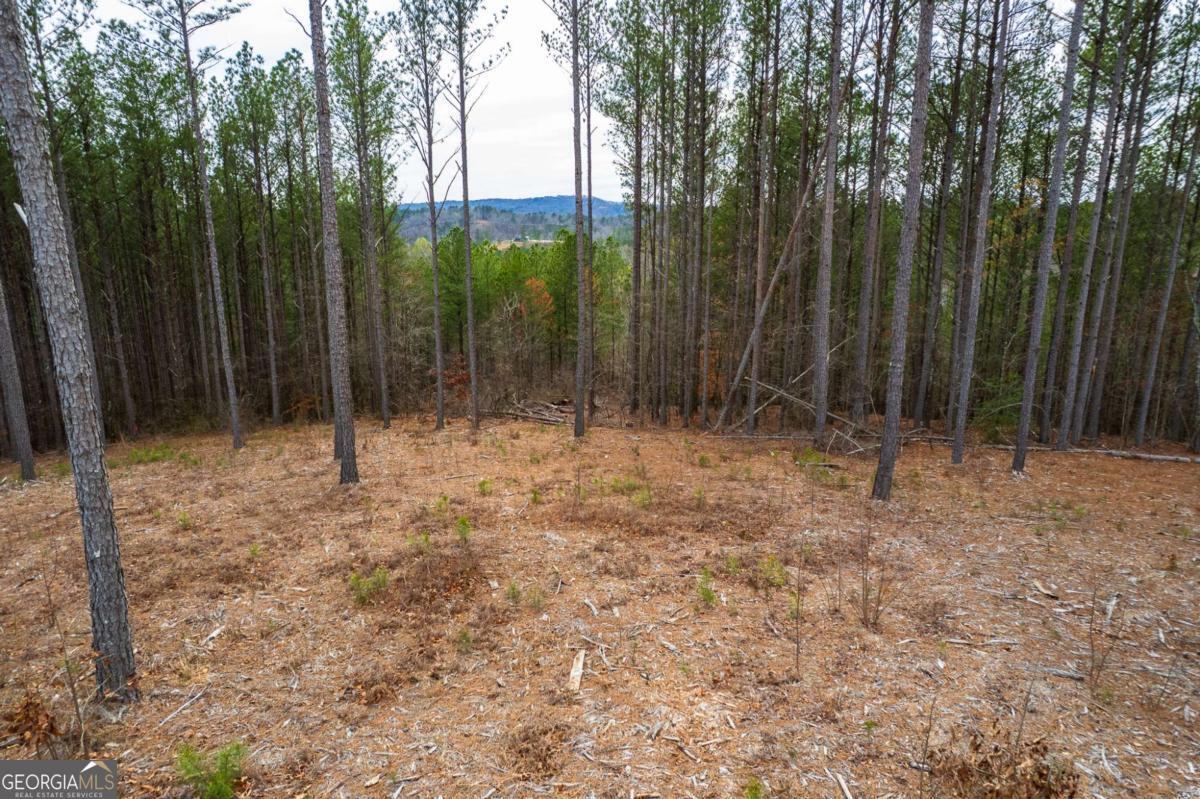 Lot 112 Blalock Mountain Road Property Photo 7
