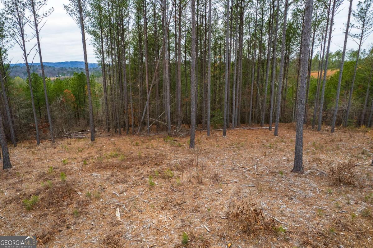Lot 112 Blalock Mountain Road Property Photo 8