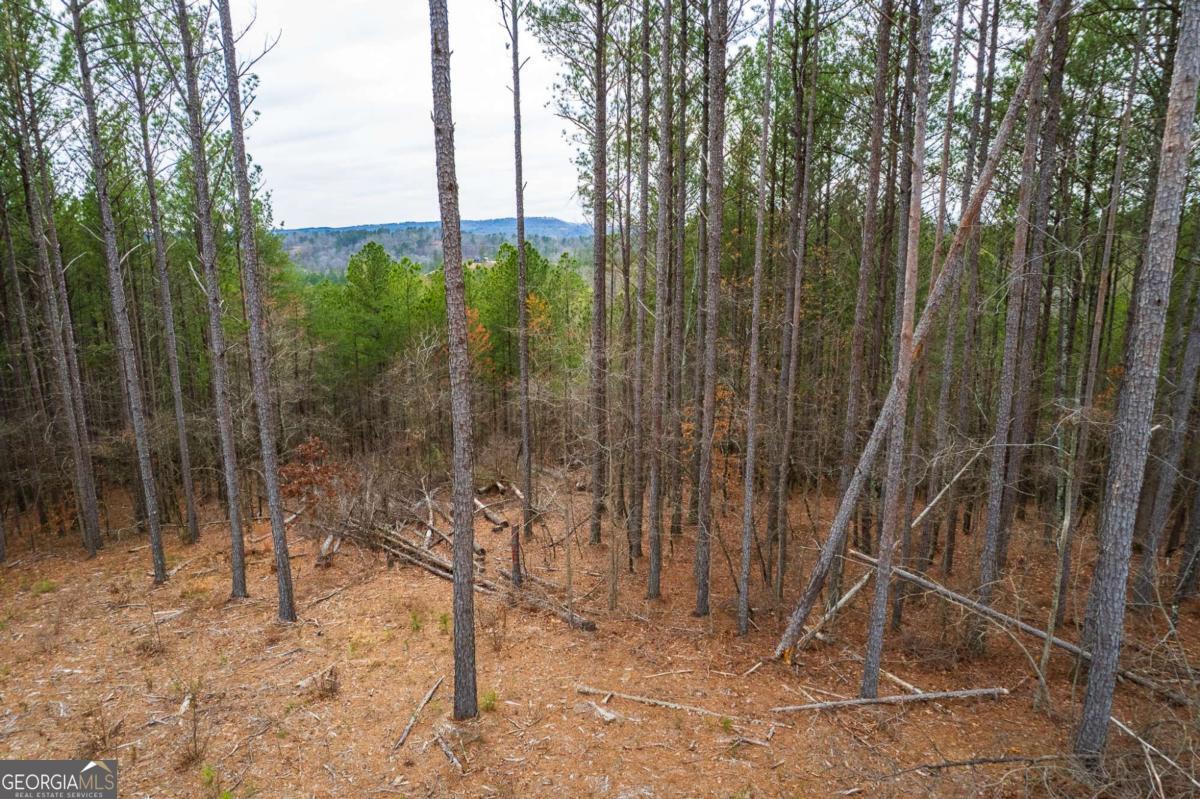 Lot 112 Blalock Mountain Road Property Photo 9