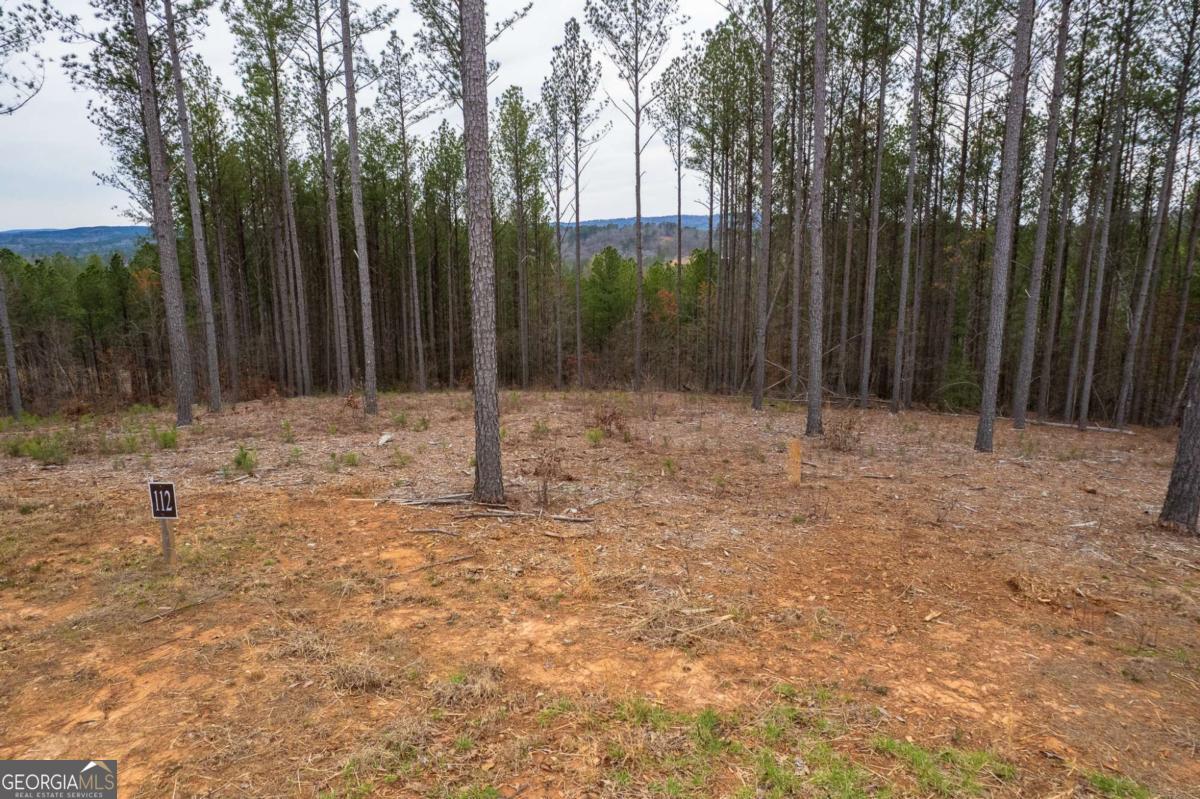 Lot 112 Blalock Mountain Road Property Photo 10