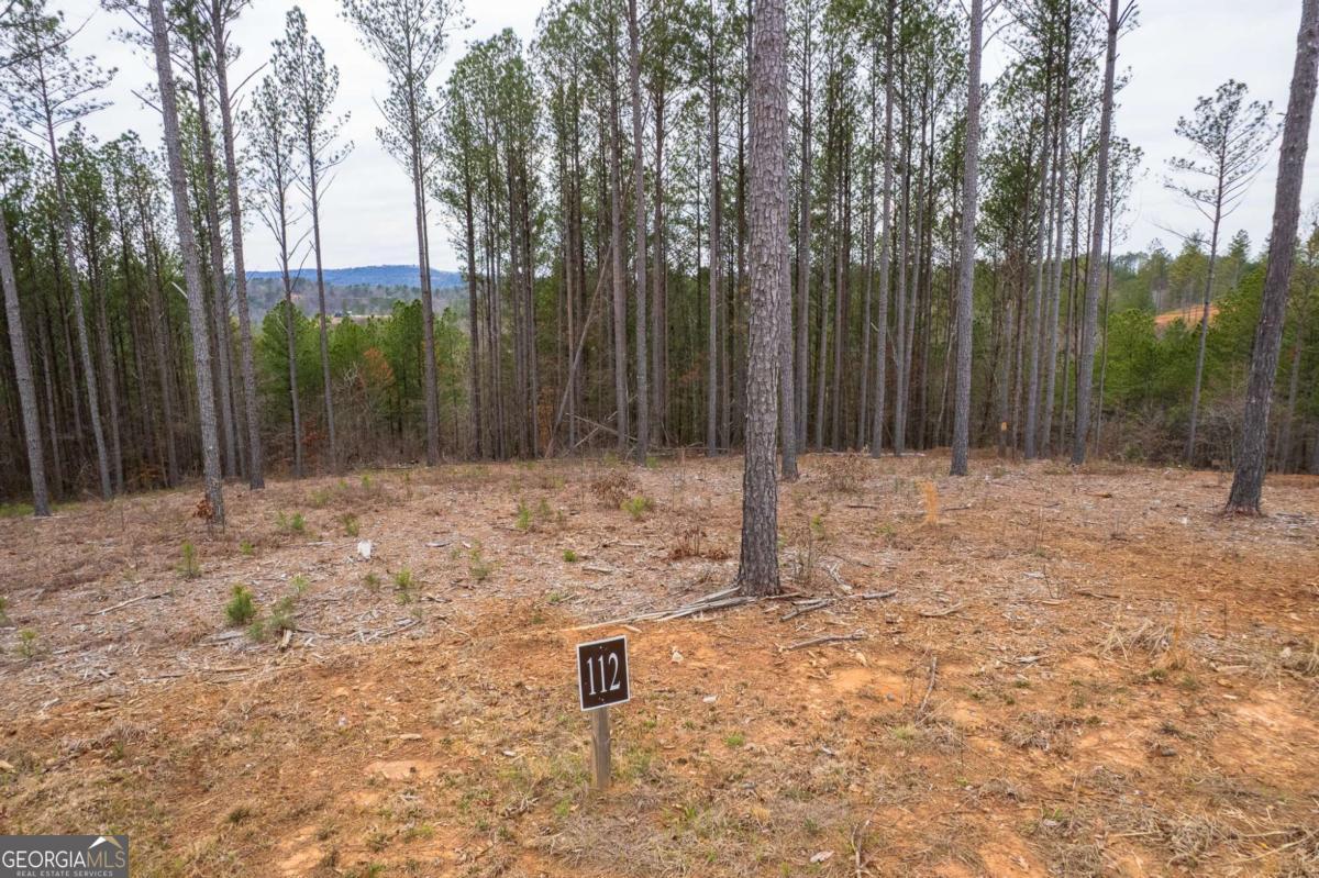 Lot 112 Blalock Mountain Road Property Photo 11
