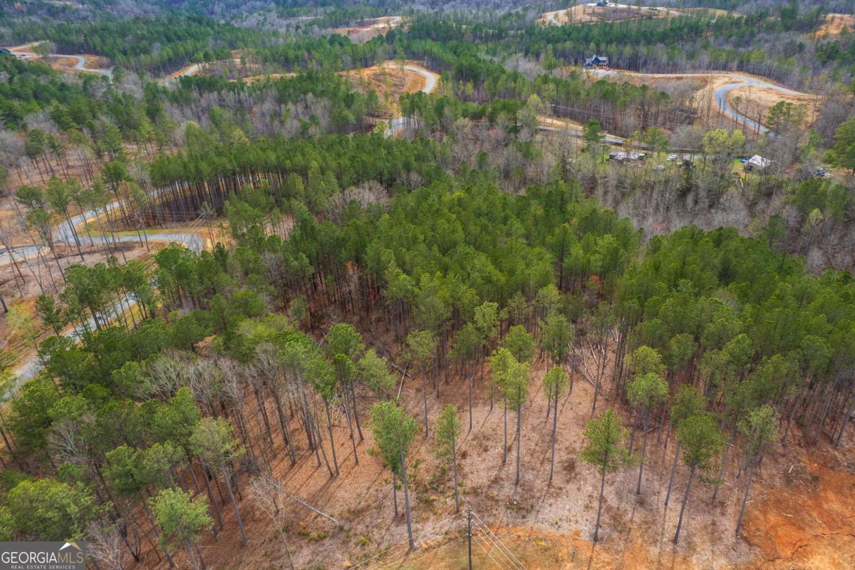 Lot 112 Blalock Mountain Road Property Photo 12