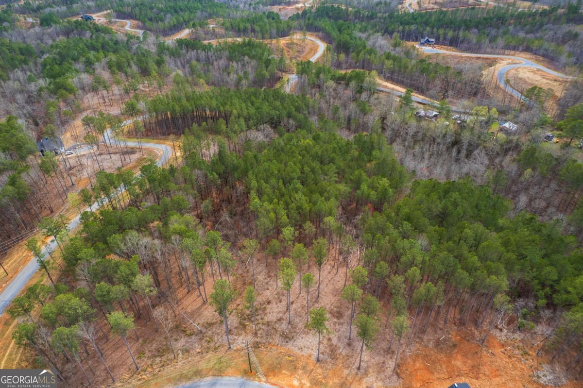 Lot 112 Blalock Mountain Road Property Photo 13
