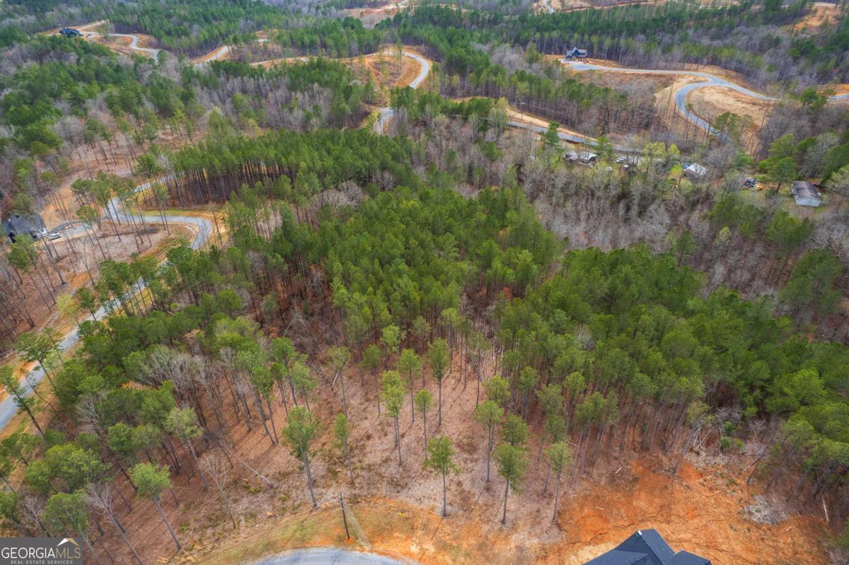 Lot 112 Blalock Mountain Road Property Photo 14