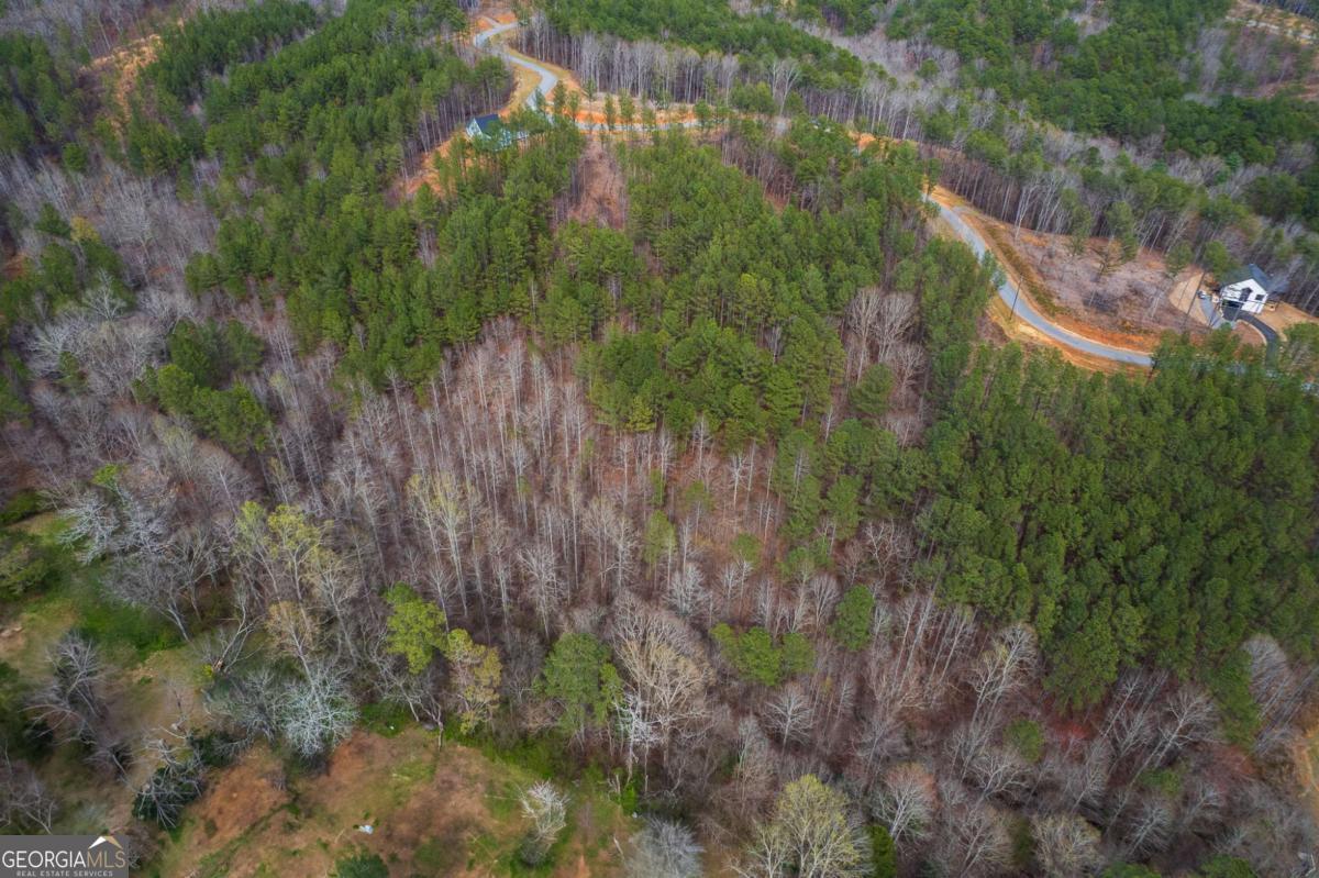 Lot 112 Blalock Mountain Road Property Photo 15