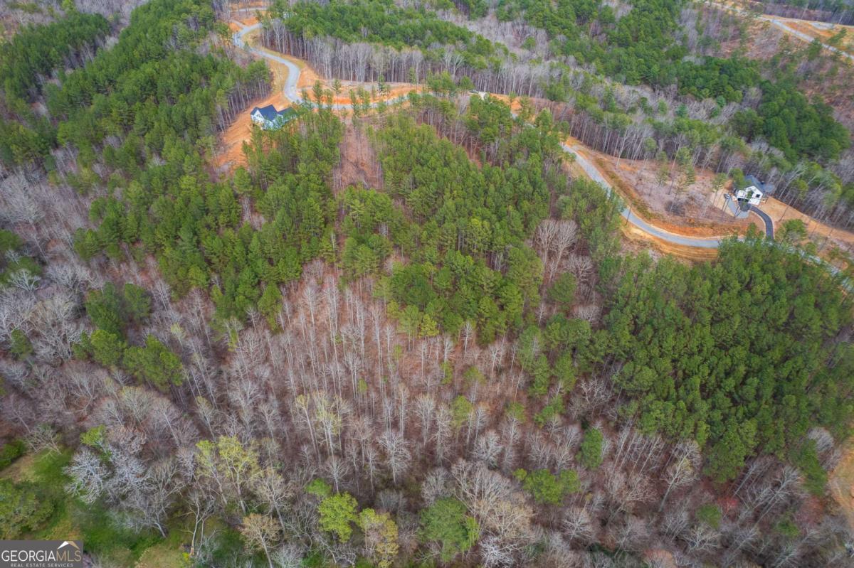 Lot 112 Blalock Mountain Road Property Photo 16