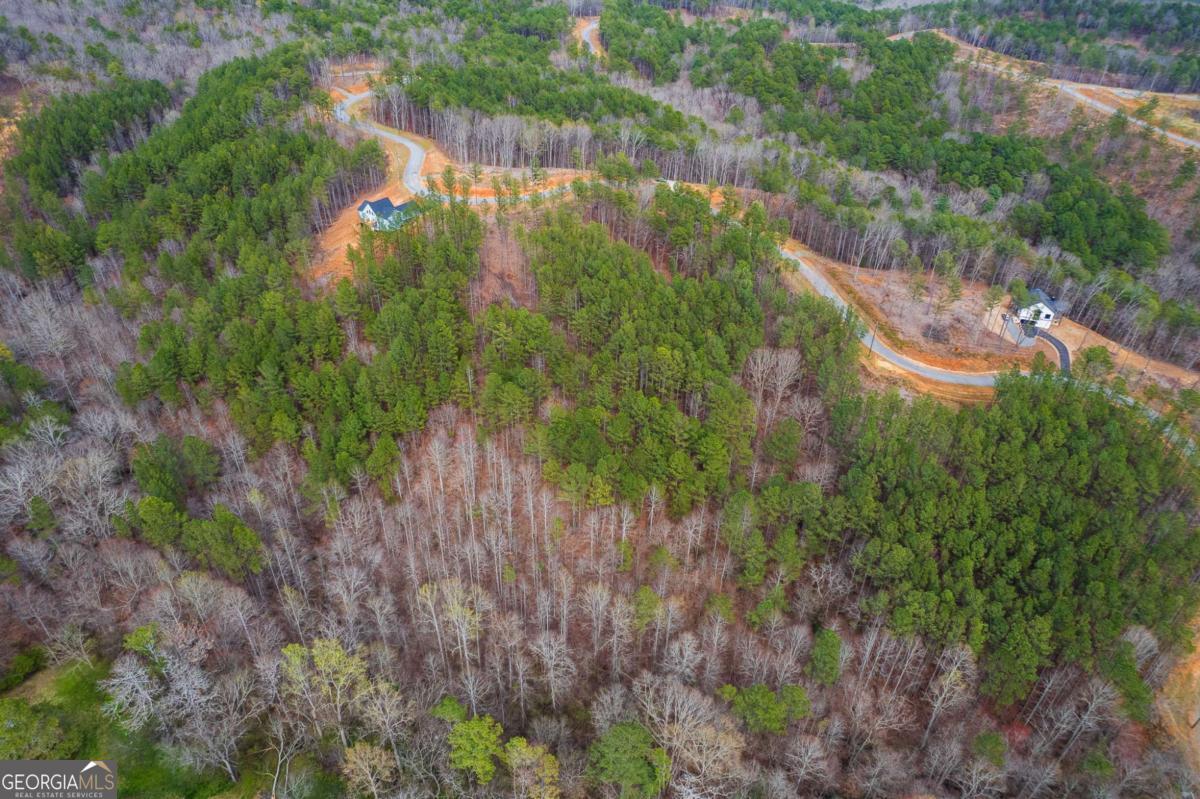 Lot 112 Blalock Mountain Road Property Photo 17