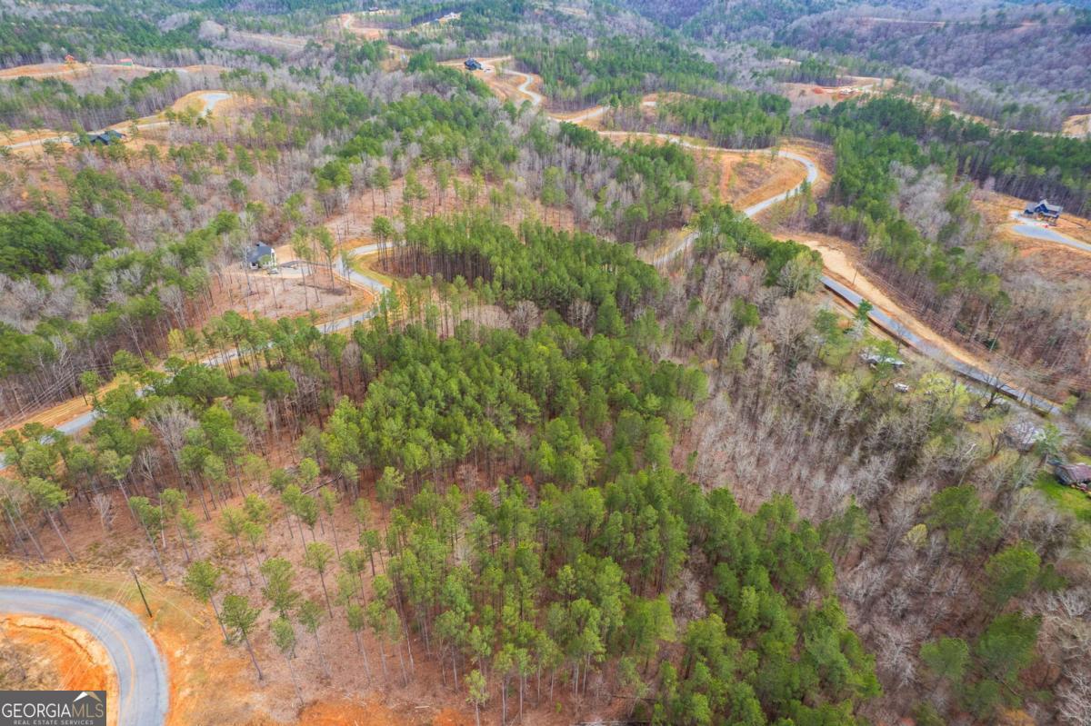 Lot 112 Blalock Mountain Road Property Photo 18